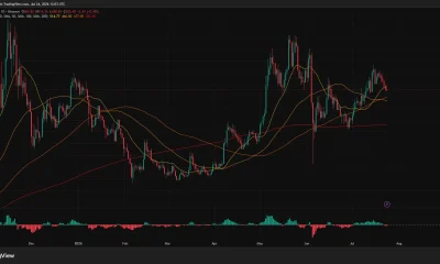 Zcash daily chart shows ZEC testing $500 below the 20-day SMA, with support near the 50-day SMA at $477.