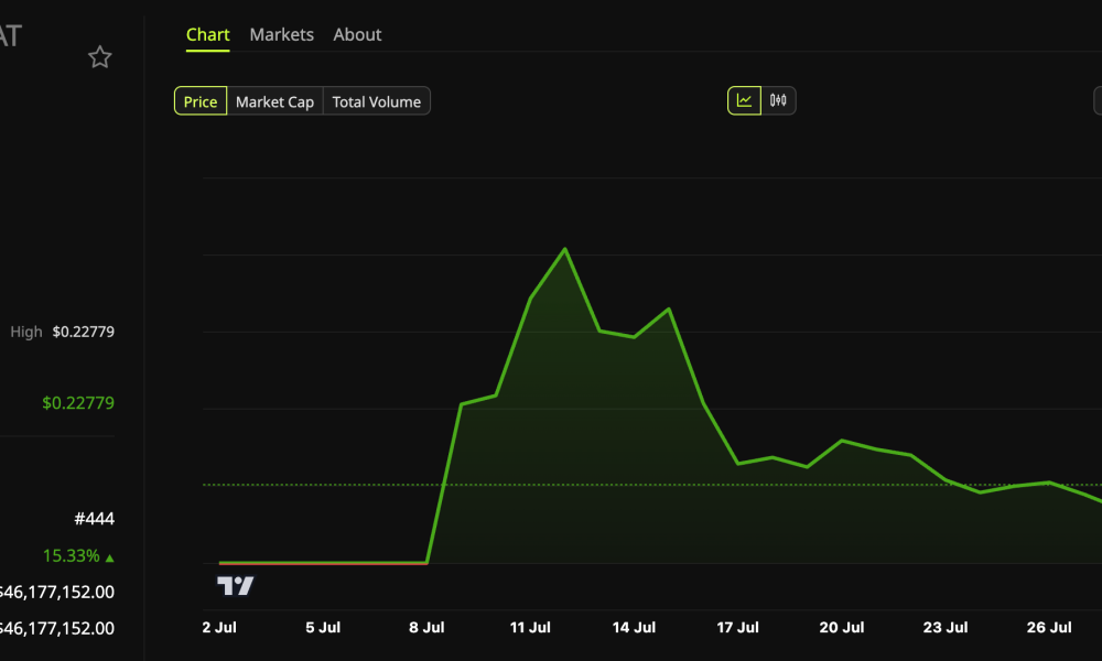 Cash Cat (CASHCAT) Price Performance