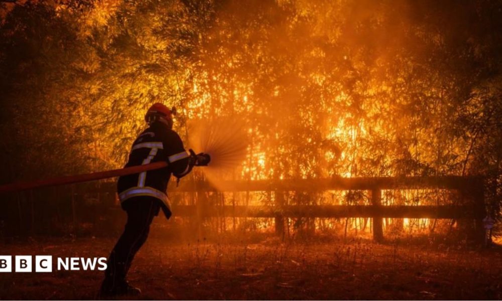 Photo shows a firefighter battling flames from a wildfire spreading in Ares, south-western France, 25 July 2026.