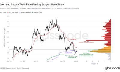 Bitcoin Short-Term Holder Cost Basis.