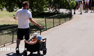 A man in a white shirt and dark shorts pulls two children through a park in a trolly