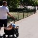 A man in a white shirt and dark shorts pulls two children through a park in a trolly