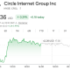 Circle Stock (CRCL) Stock Performance
