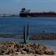 Oil slips, shares surge as Persian Gulf conflict pauses