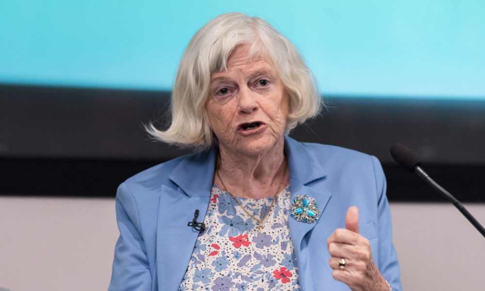 The Ann Widdecombe murder investigation has shocked Britain