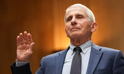 Fauci invokes Fifth Amendment as Hawley alleges taxpayer-funded awards