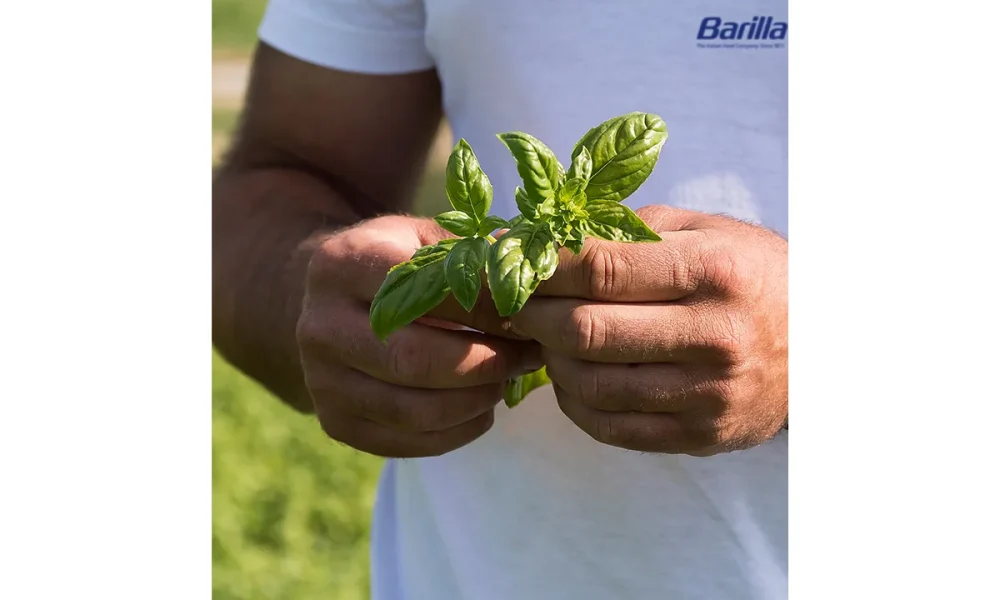 Barilla improves portfolio’s nutritional profile