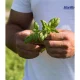 Barilla improves portfolio’s nutritional profile