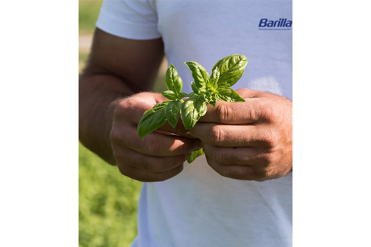 Barilla improves portfolio’s nutritional profile