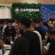 Inside Cardano's 'Van Rossum' hard fork, and how it matters for users