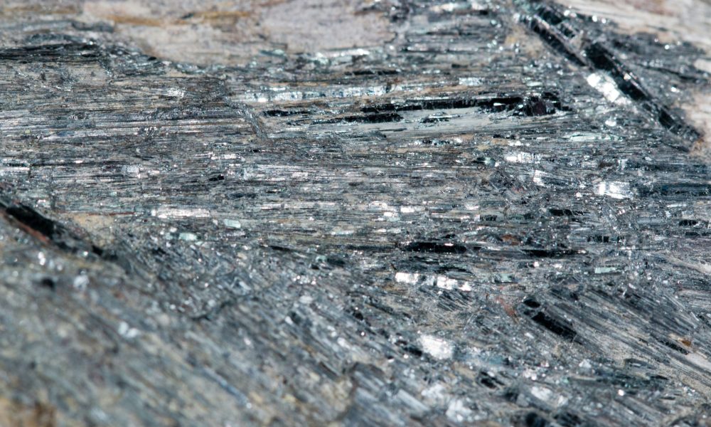 Austral pips Larvotto with $80m Hammer bid