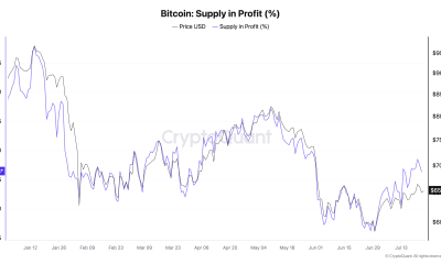Bitcoin Profitability Boost In Doubt As Metric Stays Below Key Breakeven Line