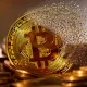 Bitcoin stopped trading the war. That's the whole story.