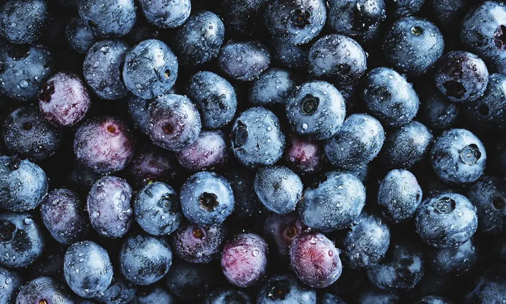 Check your freezer: Publix recalls frozen blueberries sold in 8 states