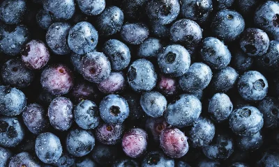 Check your freezer: Publix recalls frozen blueberries sold in 8 states