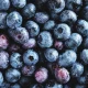 Check your freezer: Publix recalls frozen blueberries sold in 8 states