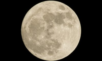Buck Moon 2026: Where and When to Watch July's Full