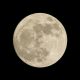 Buck Moon 2026: Where and When to Watch July's Full