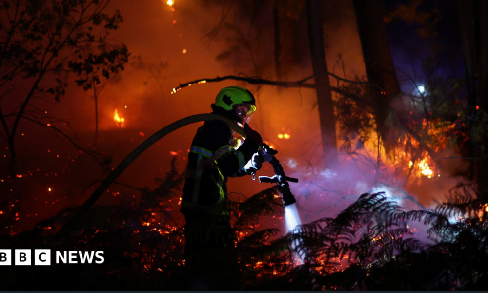 A firefighter works at the scene of a wildfire, in Andernos-les-Bains in the Gironde department, amongst worsening drought conditions following a heatwave and water shortages across much of France, July 26, 2026