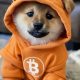 Bitcoin’s anti-spam fight gets a 'DOG Mode' reply