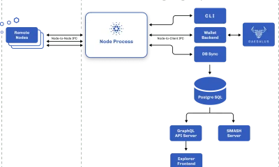 Diagram of Cardano wallet architecture including nodes and processes.