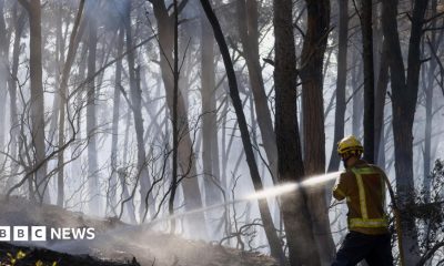 A firefighter sprays water on fire in a forest in Spain
