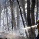 A firefighter sprays water on fire in a forest in Spain