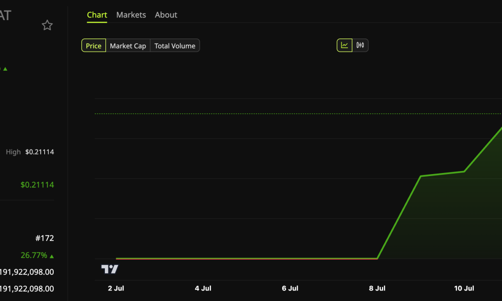 Cash Cat (CASHCAT) Price Performance.