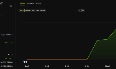 Cash Cat (CASHCAT) Price Performance.