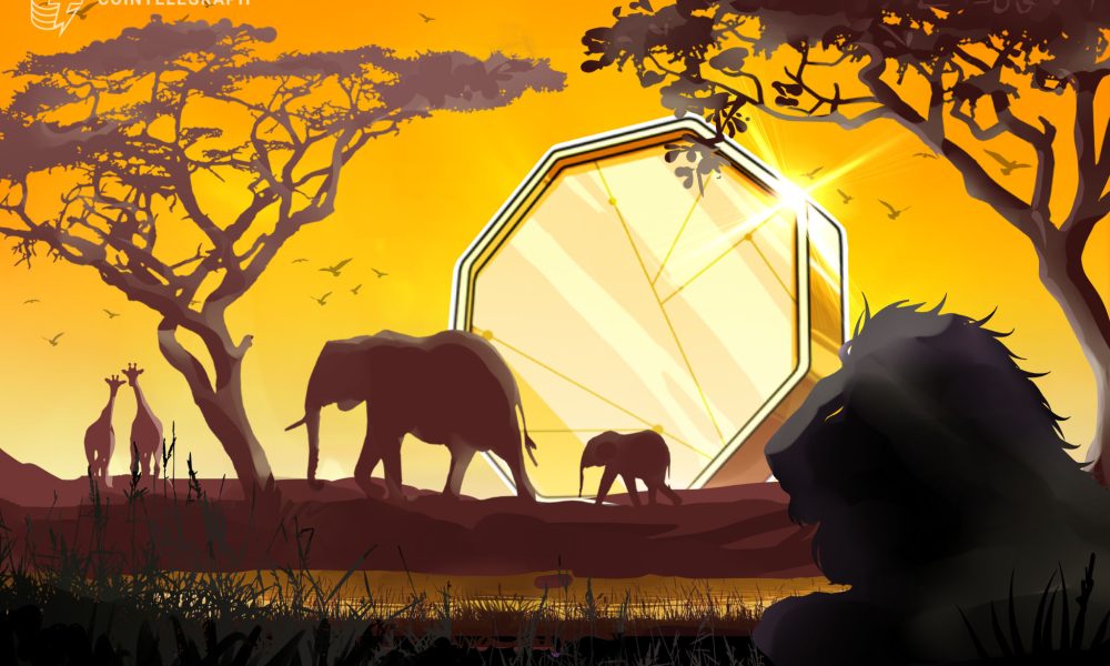 Zimbabwe Adds Seven Fintech Projects to Regulatory Sandbox