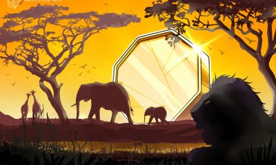 Zimbabwe Adds Seven Fintech Projects to Regulatory Sandbox