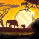 Zimbabwe Adds Seven Fintech Projects to Regulatory Sandbox
