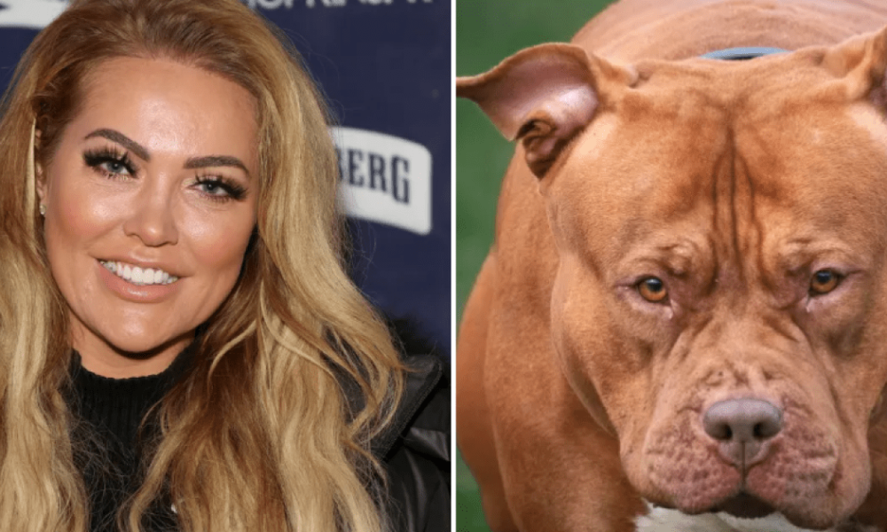 Reality star attacked by XL Bully shares details of bone-crunching injuries