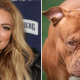 Reality star attacked by XL Bully shares details of bone-crunching injuries