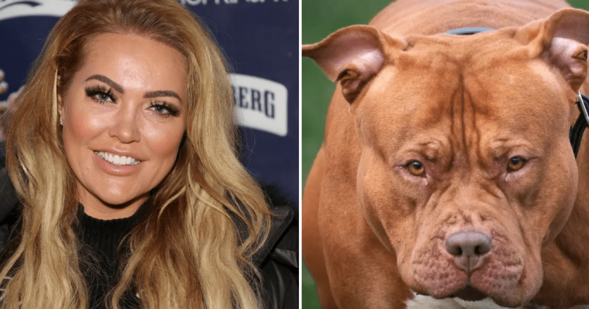 Reality star attacked by XL Bully shares details of bone-crunching injuries