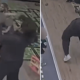 Moment daycare worker tosses toddler into the air and 'drops him over her head' | News US