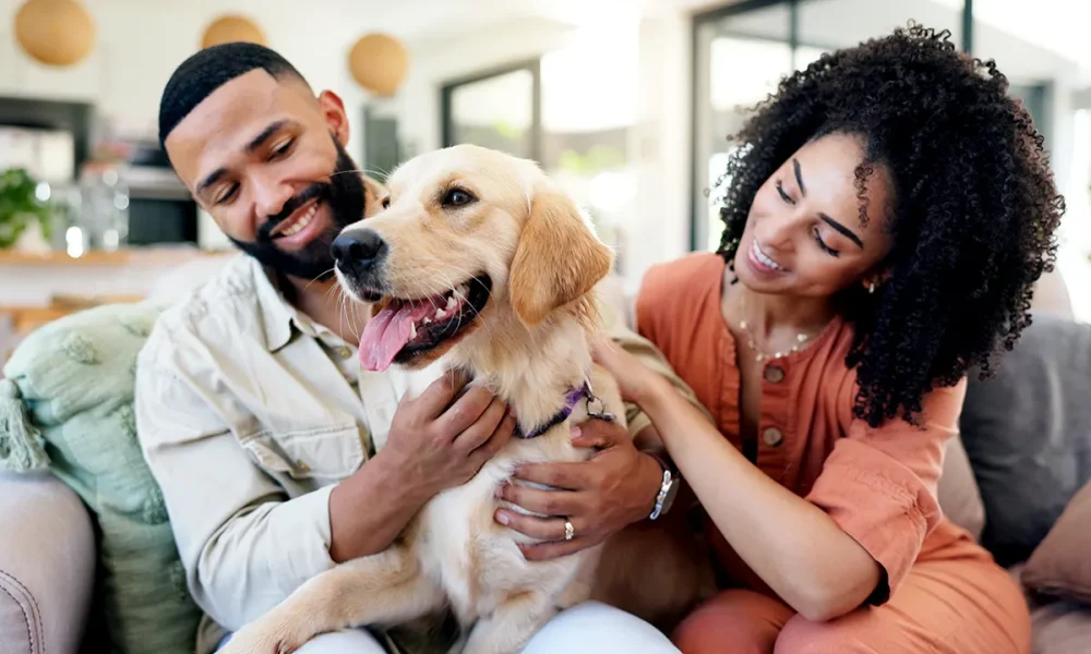 CVS Pharmacy begins filling pet prescriptions at 9,000 stores nationwide