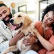 CVS Pharmacy begins filling pet prescriptions at 9,000 stores nationwide