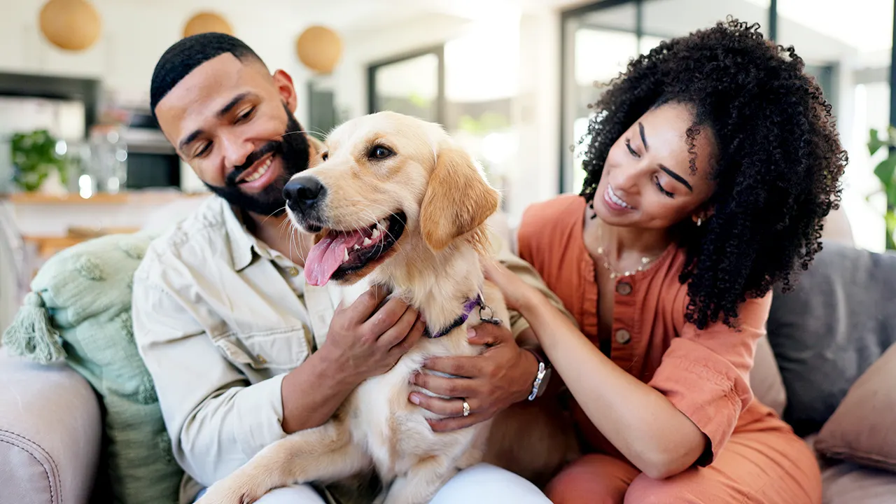 CVS Pharmacy begins filling pet prescriptions at 9,000 stores nationwide