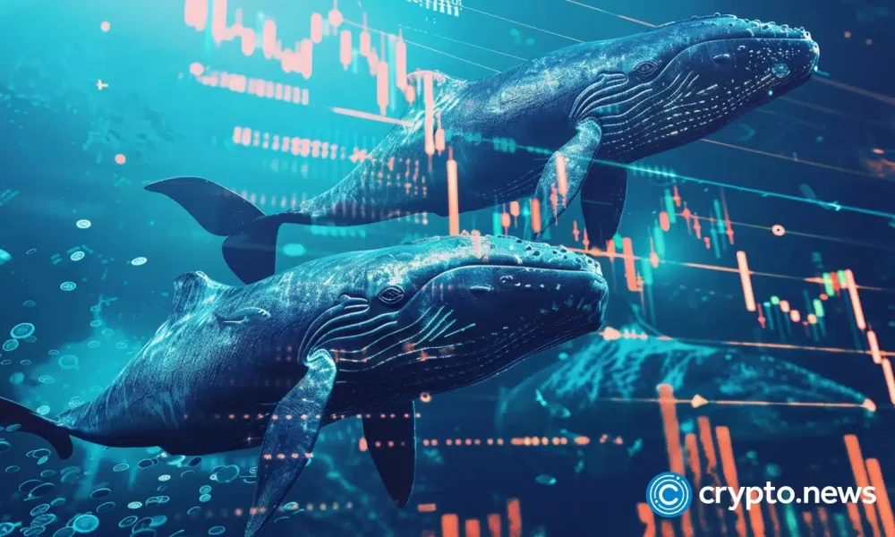 Whales bought $16.7B of Bitcoin as ETFs bled a record $4B