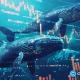 Whales bought $16.7B of Bitcoin as ETFs bled a record $4B