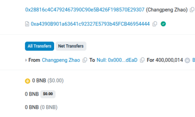 CZ Burns $1.6 Million in Spam Meme Coin Tokens. Source: BscScan