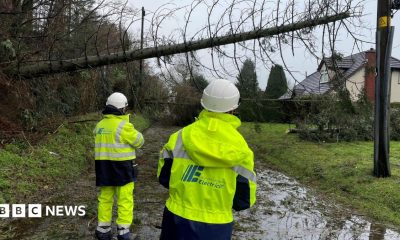 Electricians look at a tree that has hit a power line.