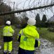 Electricians look at a tree that has hit a power line.