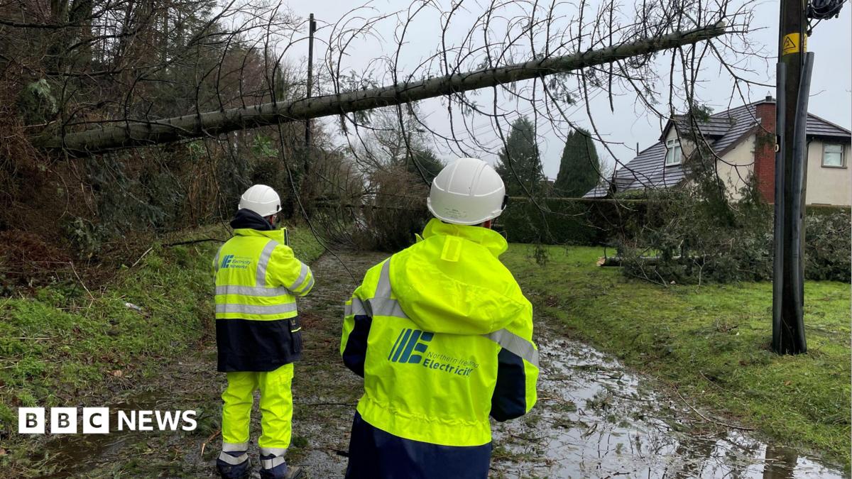 Electricians look at a tree that has hit a power line.