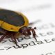 Ethereum Foundation says AI found bug that could take validators offline