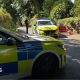 Police cars stand in the village of Haytor