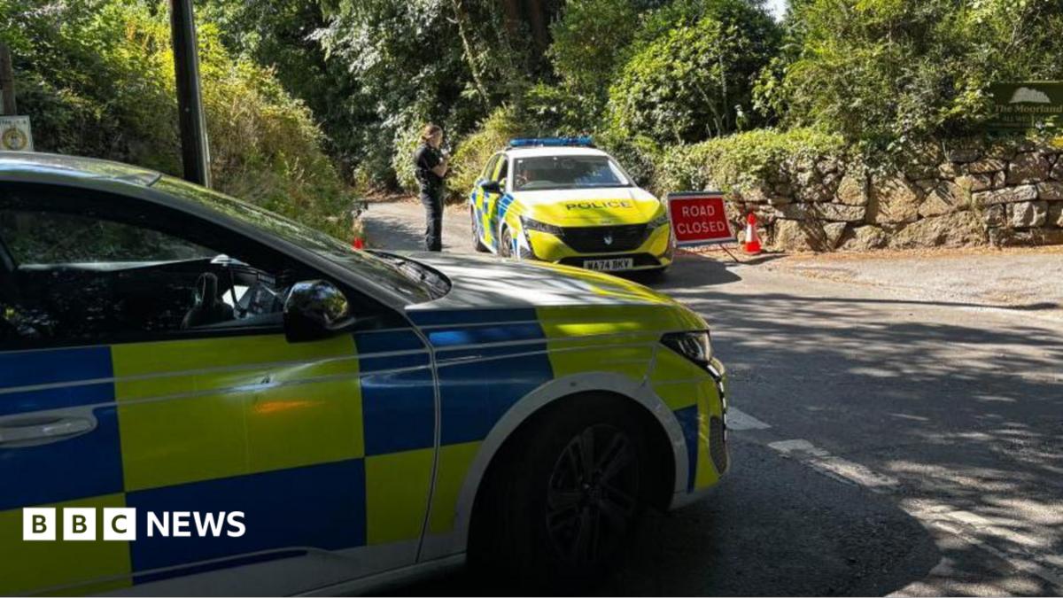 Police cars stand in the village of Haytor