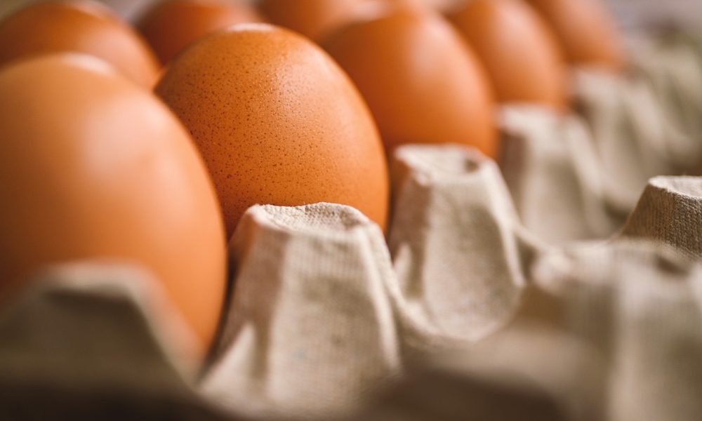 Egg