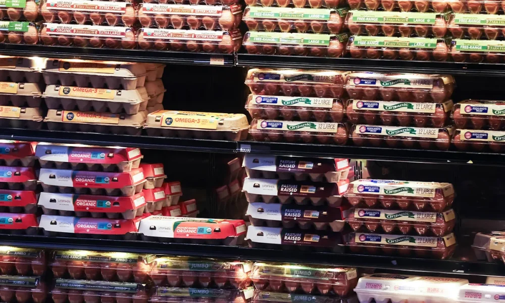 Justice Department settles with top US egg producers over alleged price manipulation
